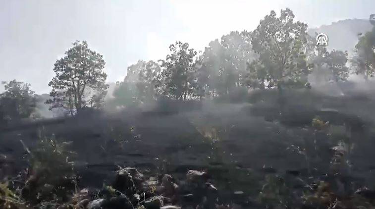 Bingöl'deki orman yangını söndürüldü 7